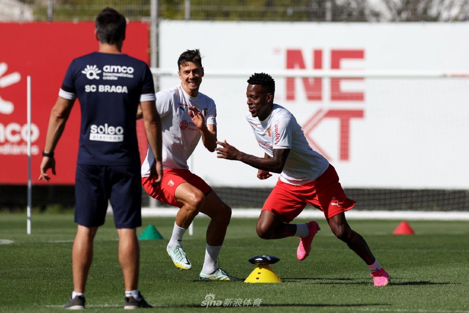 案例分析 案例分析